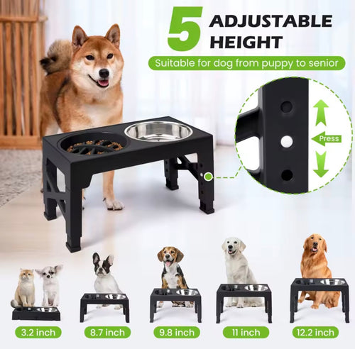 🐶 Adjustable Elevated Dog Feeder